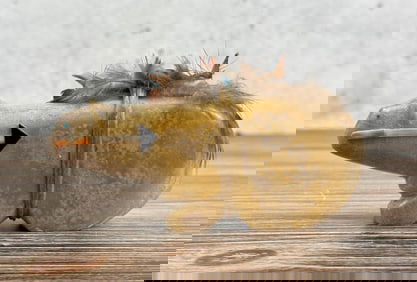 Andy Abeita Zuni Carved Bear Fetish