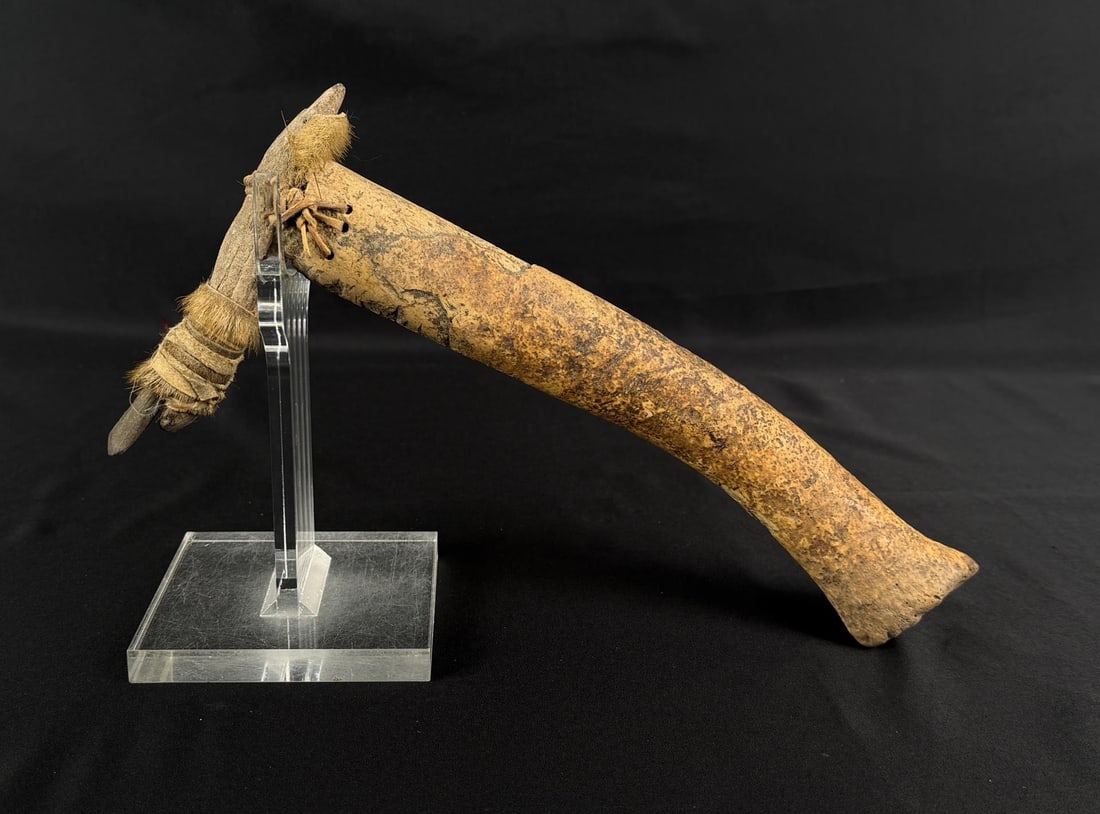 Alaskan Inuit Eskimo Oosik Walrus Penis Adze: Quite unusual with the Oosik handle. 11 1/4" long.