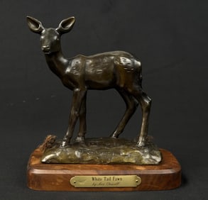 Ace Powell White Tail Fawn Bronze