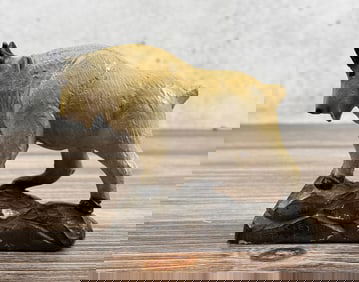 Ace Powell Glacier Park Montana Mountain Goat