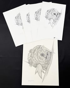 Gary Cook Drawing and Prints