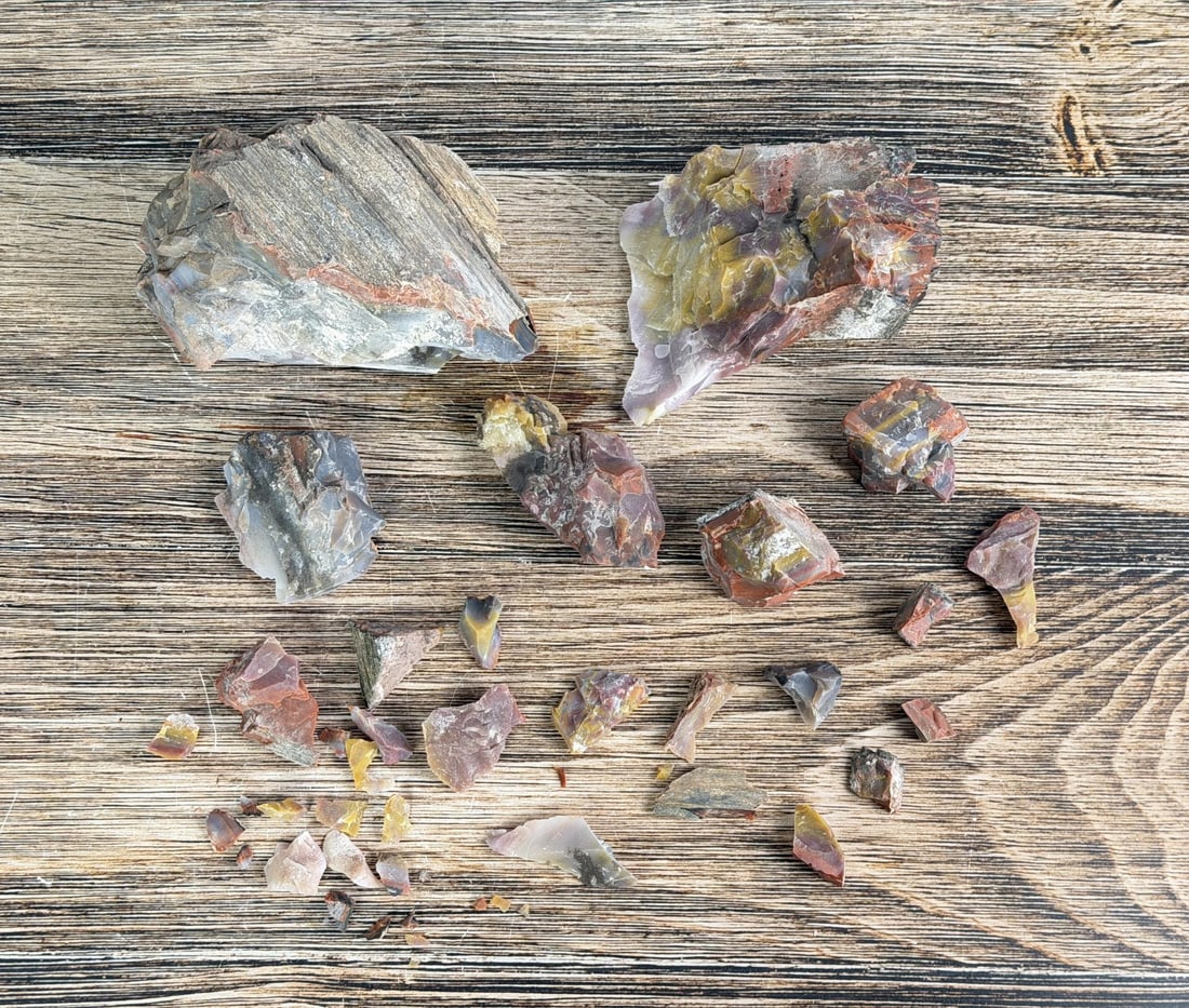 Arizona Rainbow Petrified Wood Lapidary Material (1 of 7)