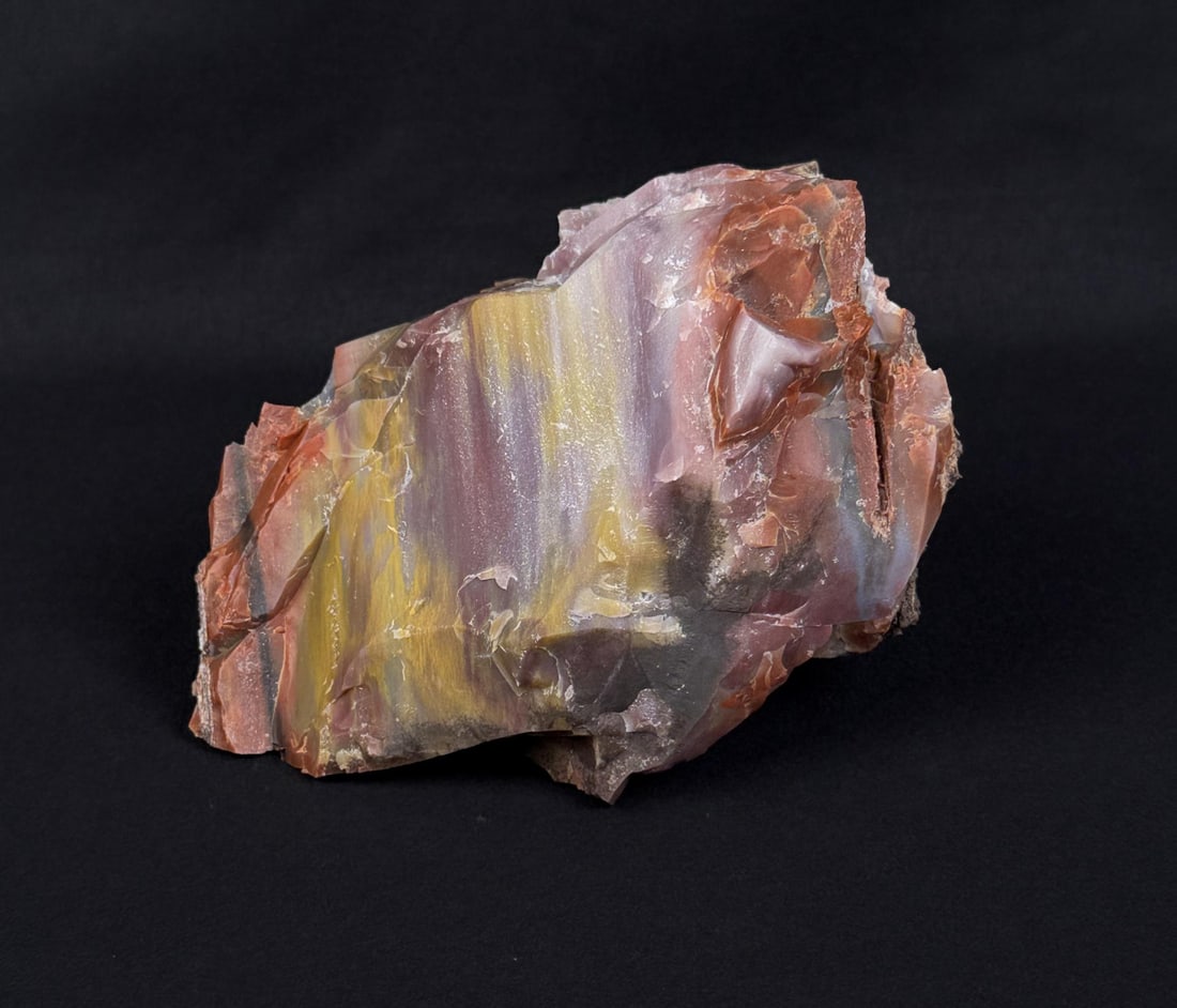 Arizona Rainbow Petrified Wood Lapidary Material (1 of 4)