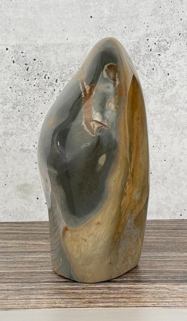 Polished Ocean Jasper Freeform (1 of 5)