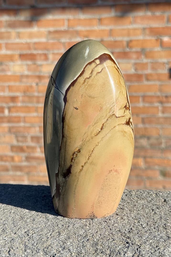 Polished Bruneau Jasper Freeform (1 of 5)