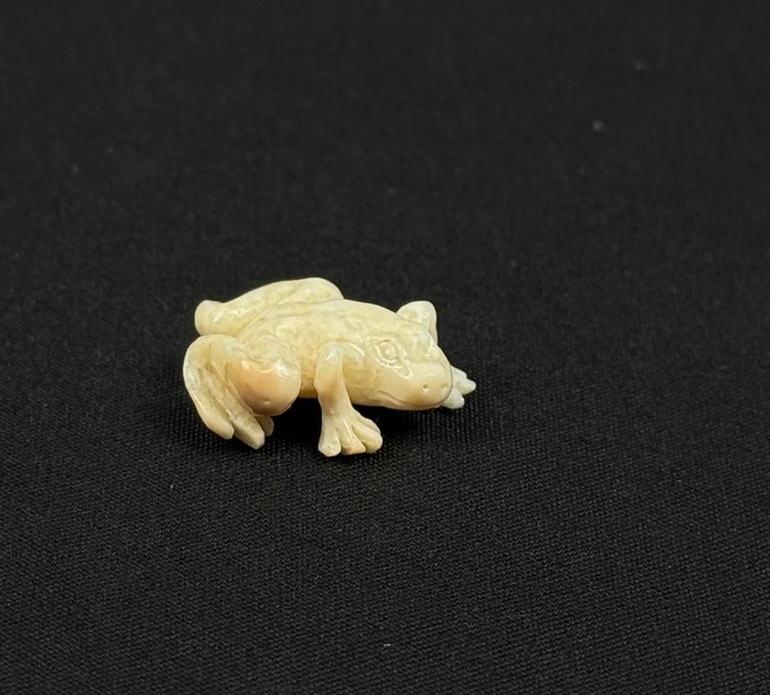 Zuni Carved Walrus Ivory Frog Fetish (1 of 7)