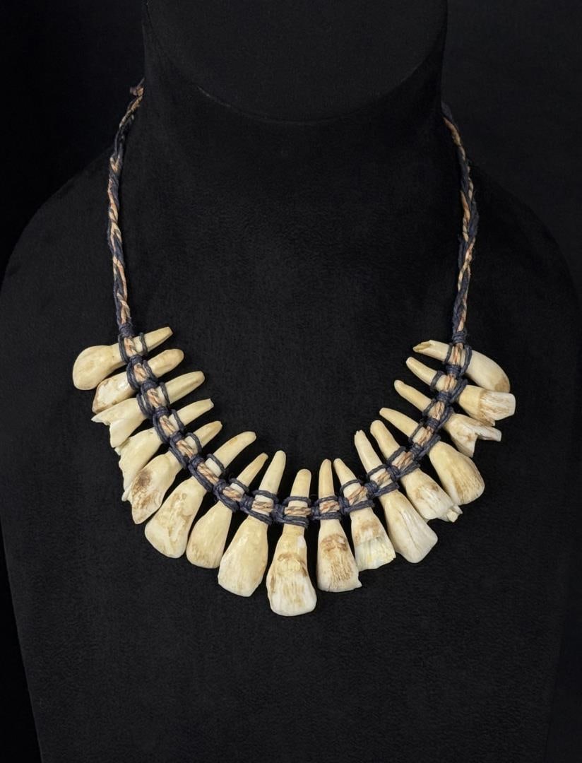 Native American Indian Elk Tooth Necklace (1 of 3)