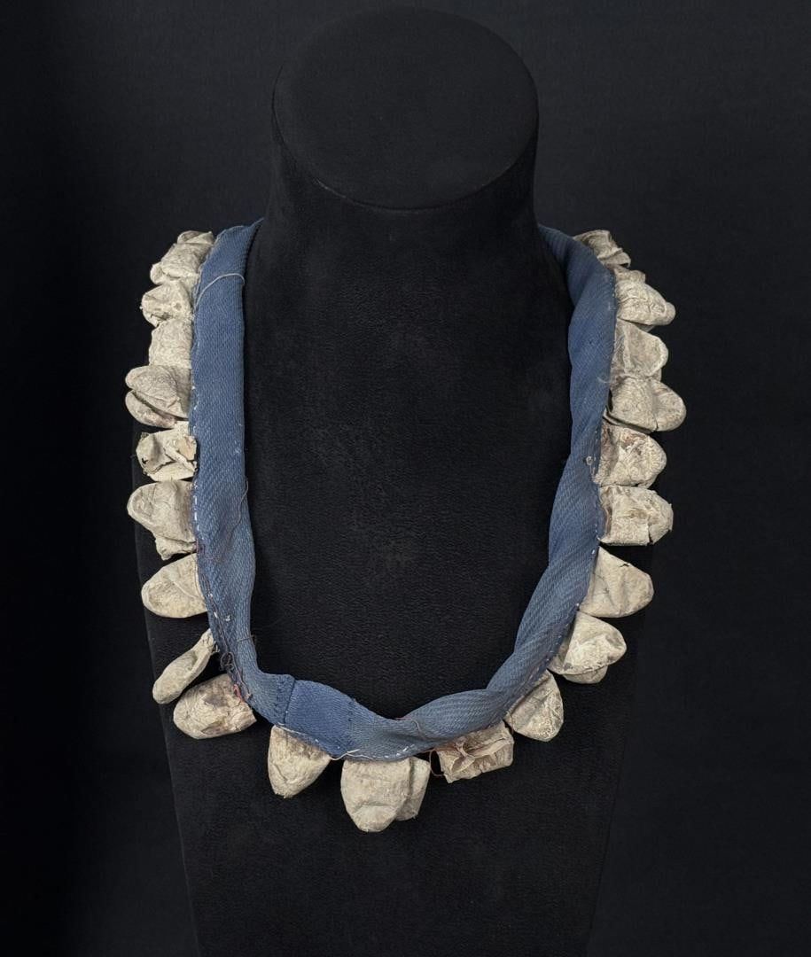 Yaqui Indian Silk Moth Caccoon Dance Rattle: 19 1/2" long as displayed.