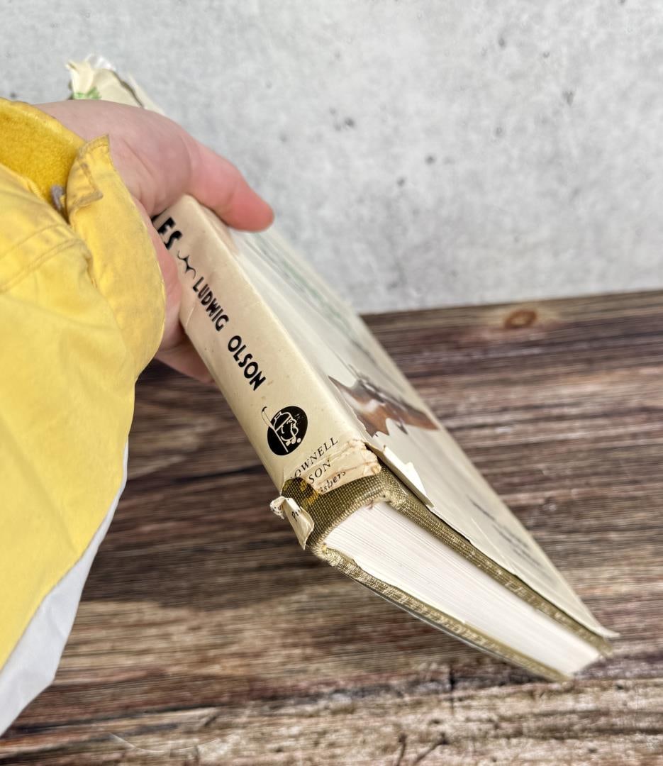 Mauser Bolt Rifles - 7