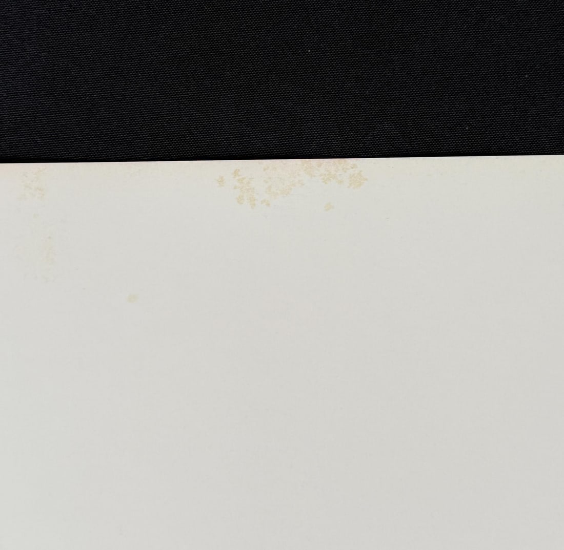 Andy Warhol Muhammad Ali Offset Lithograph - 4