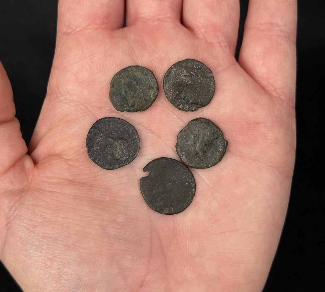 Collection of Ancient Roman Bronze Coins: Nice grouping.