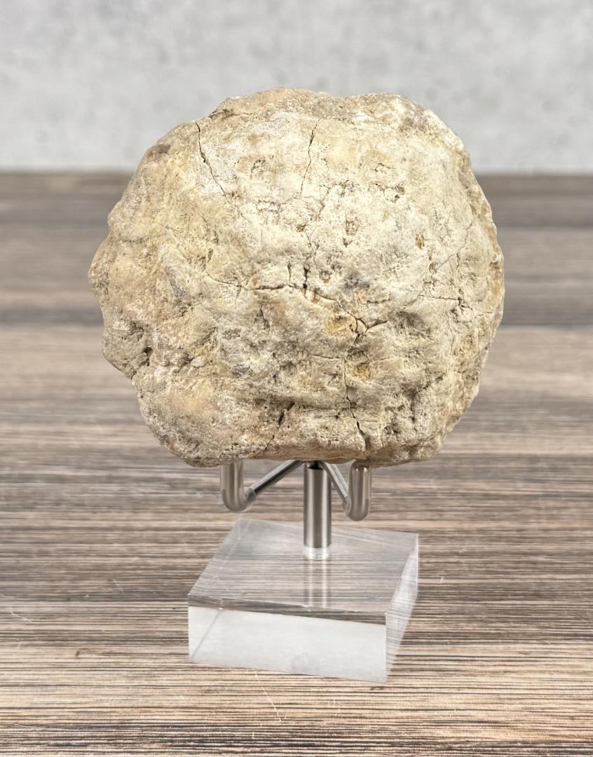 Unopened Quartz Geode - 2