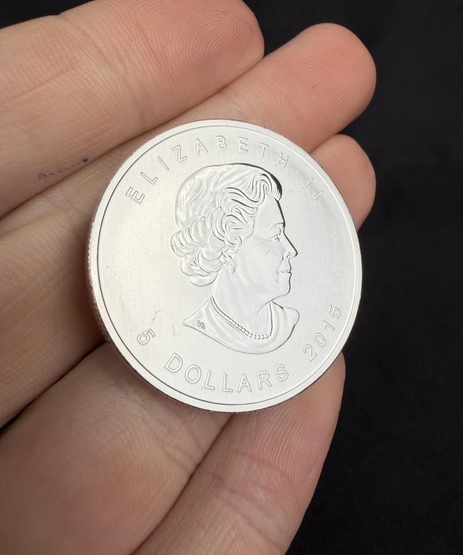 2015 Canadian Birds of Prey Silver Ounce Coin (1 of 3)