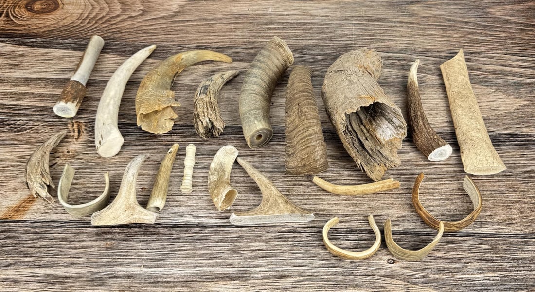 Native American Craft Horn Segments and Pieces (1 of 8)