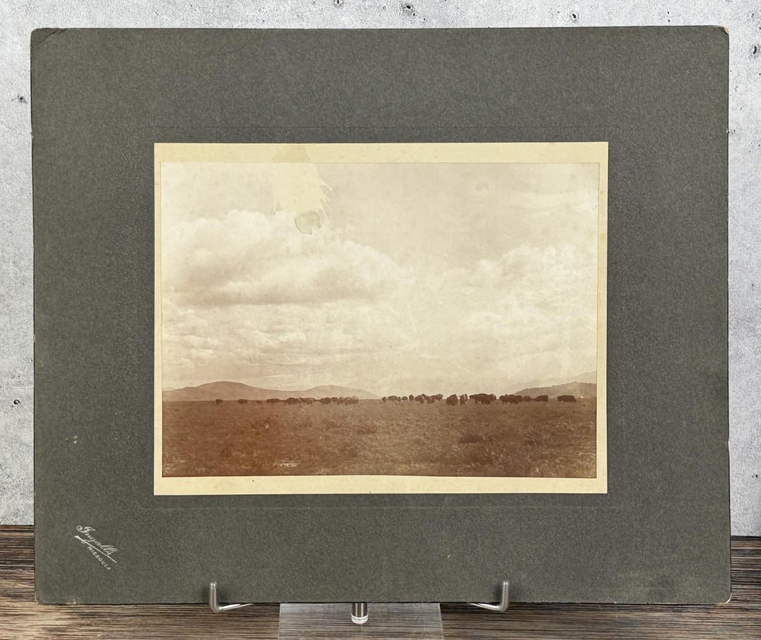 Montana Flathead Reservation Bison Range Photo: Taken by Ingalls of Missoula. 10 3/4" by 13".