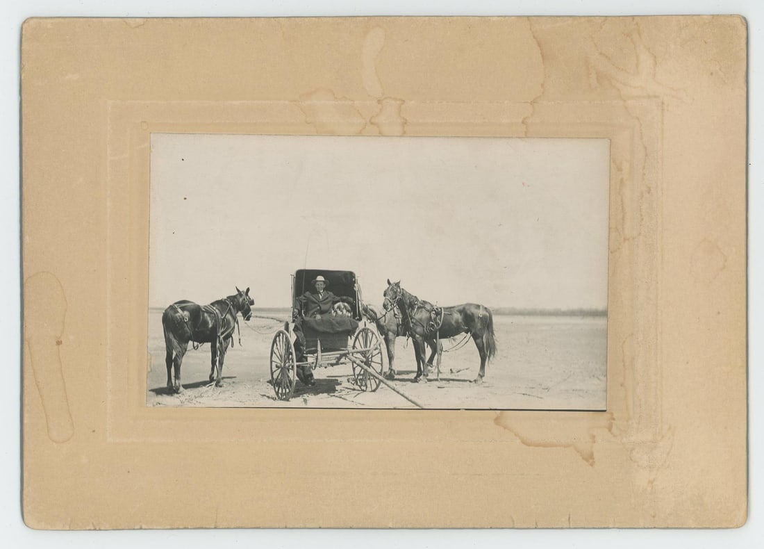 Montana Horse Buggy and Driver Cabinet Photo (1 of 3)