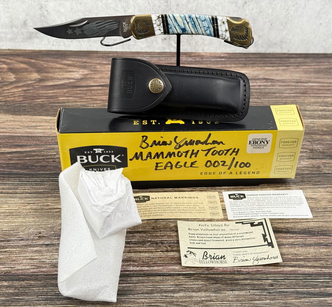 Buck 110 Custom Brian Yellowhorse Pocket Knife (1 of 15)