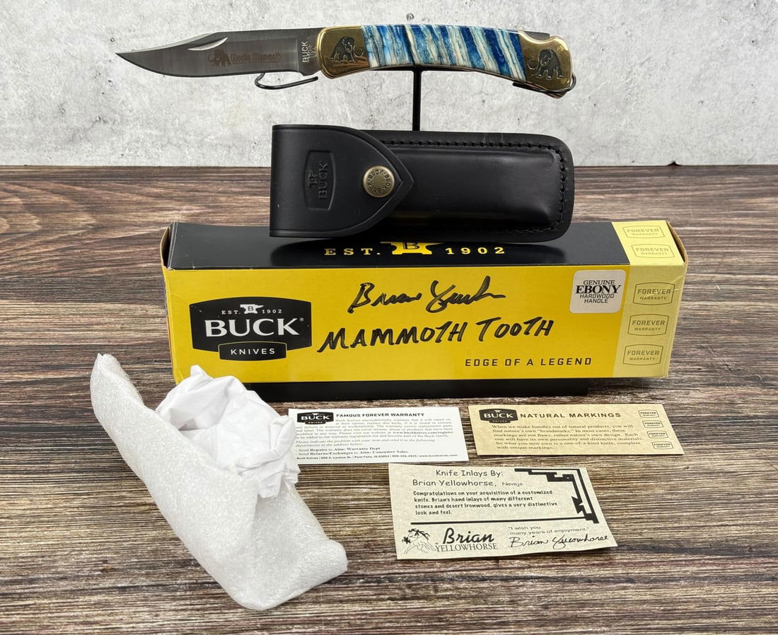 Buck 110 Brian Yellowhorse Wooly Mammoth Knife (1 of 13)