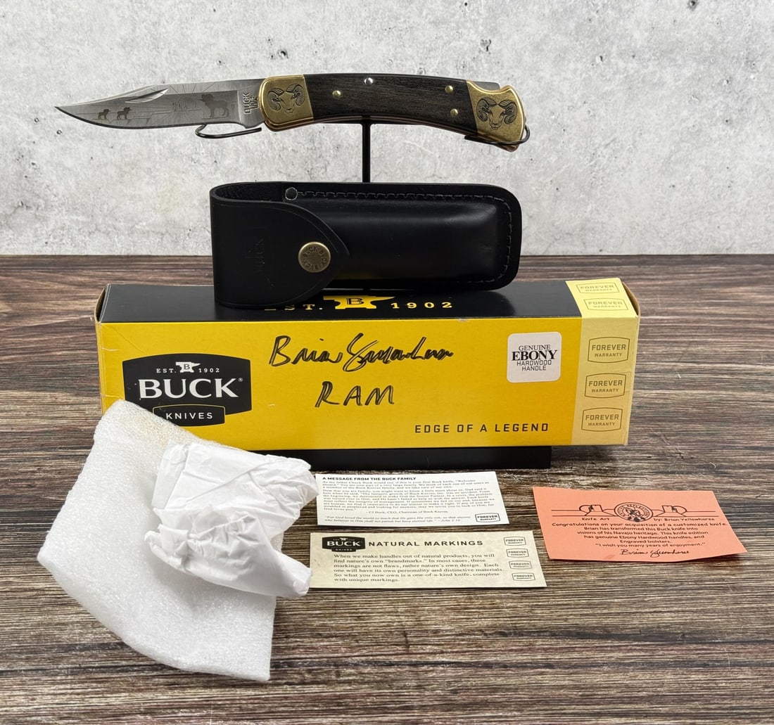 Buck 110 Custom Brian Yellowhorse Ram Knife (1 of 14)