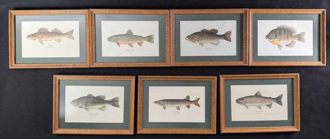 Heddon Fishing Lures Famous Freshwater Print Set (1 of 10)