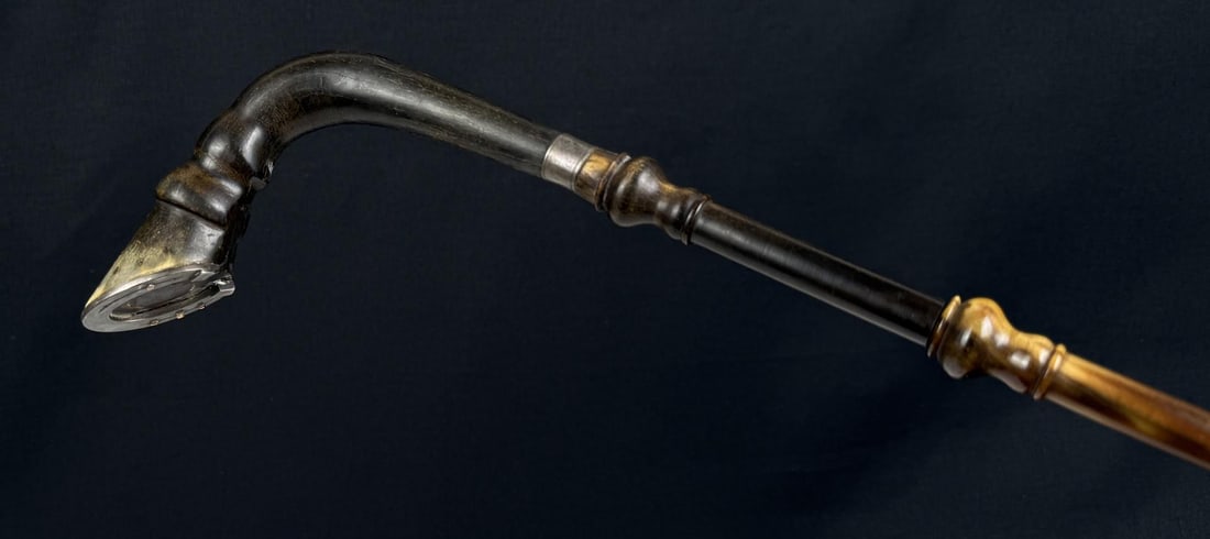 Victorian Horn Horse Hoof Cane Walking Stick (1 of 7)