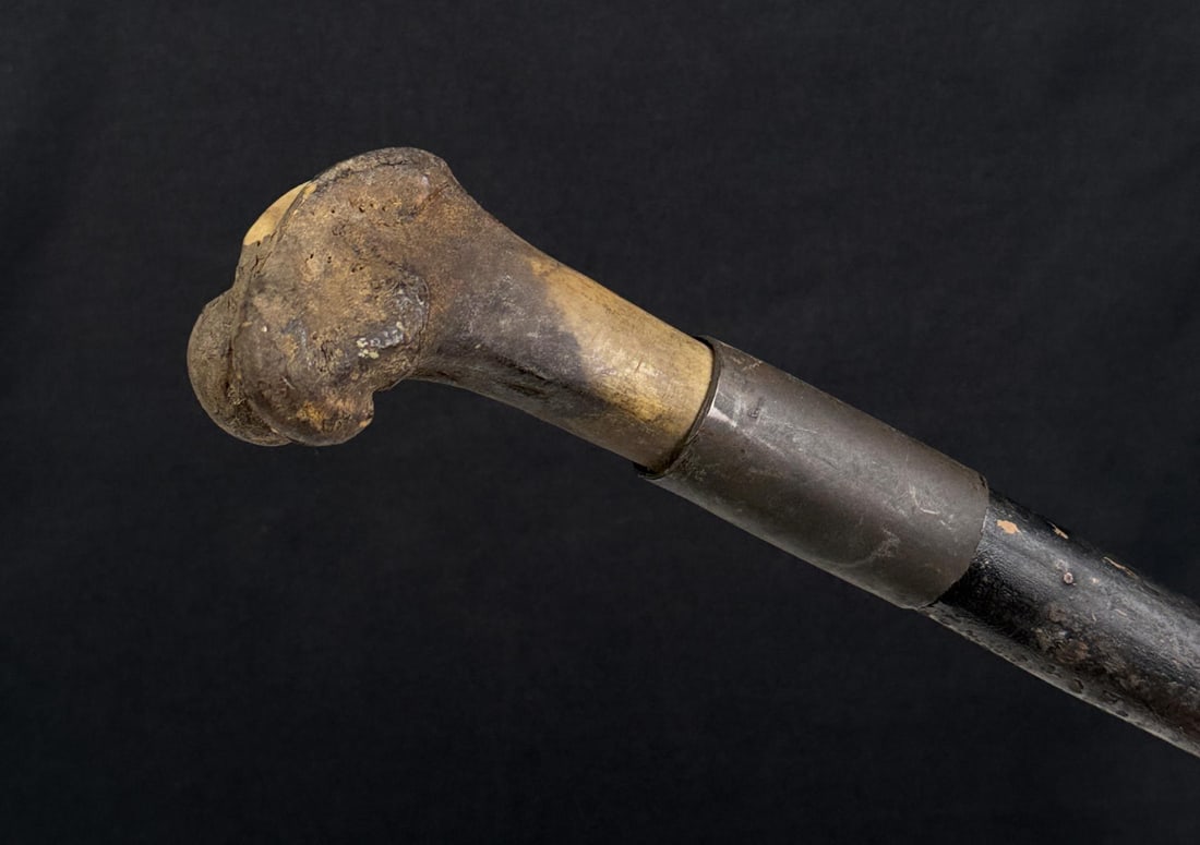 Victorian Mortician Human Bone Cane Walking Stick (1 of 6)