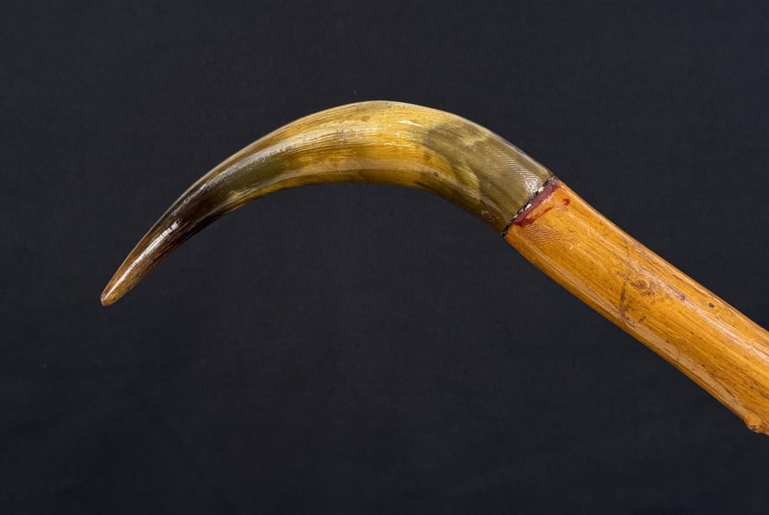 Frontier Cowboy Steer Horn Cane Walking Stick (1 of 7)