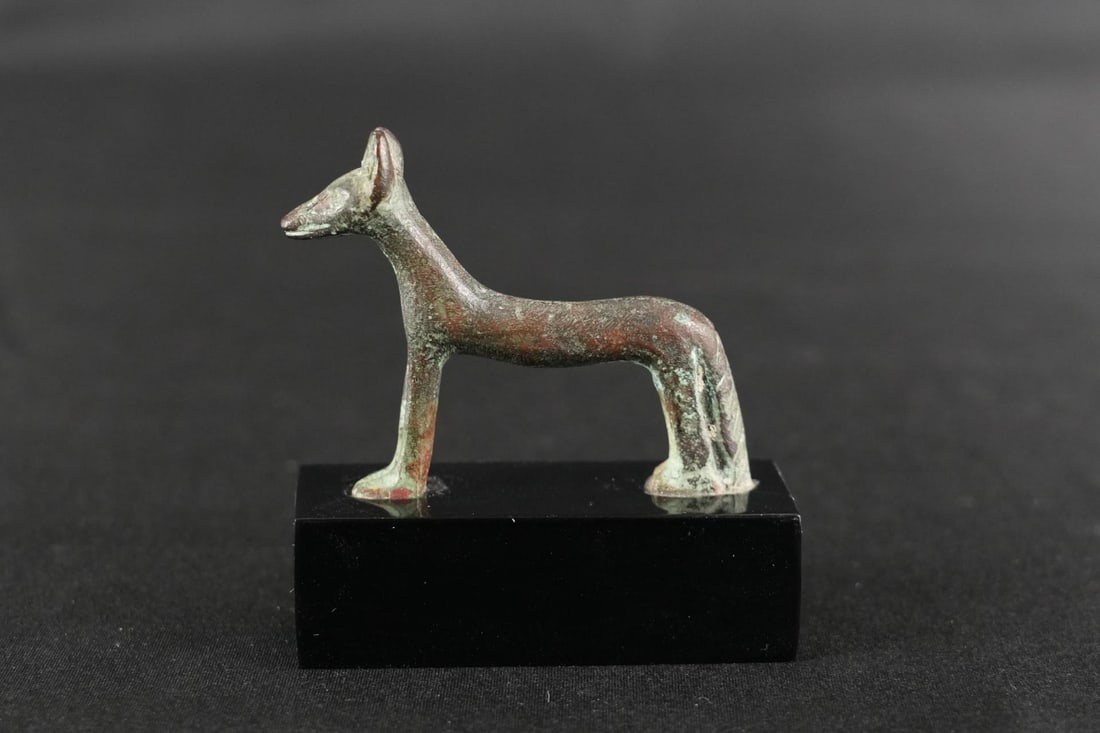 Ancient Egyptian Bronze Jackal Statuette (1 of 7)