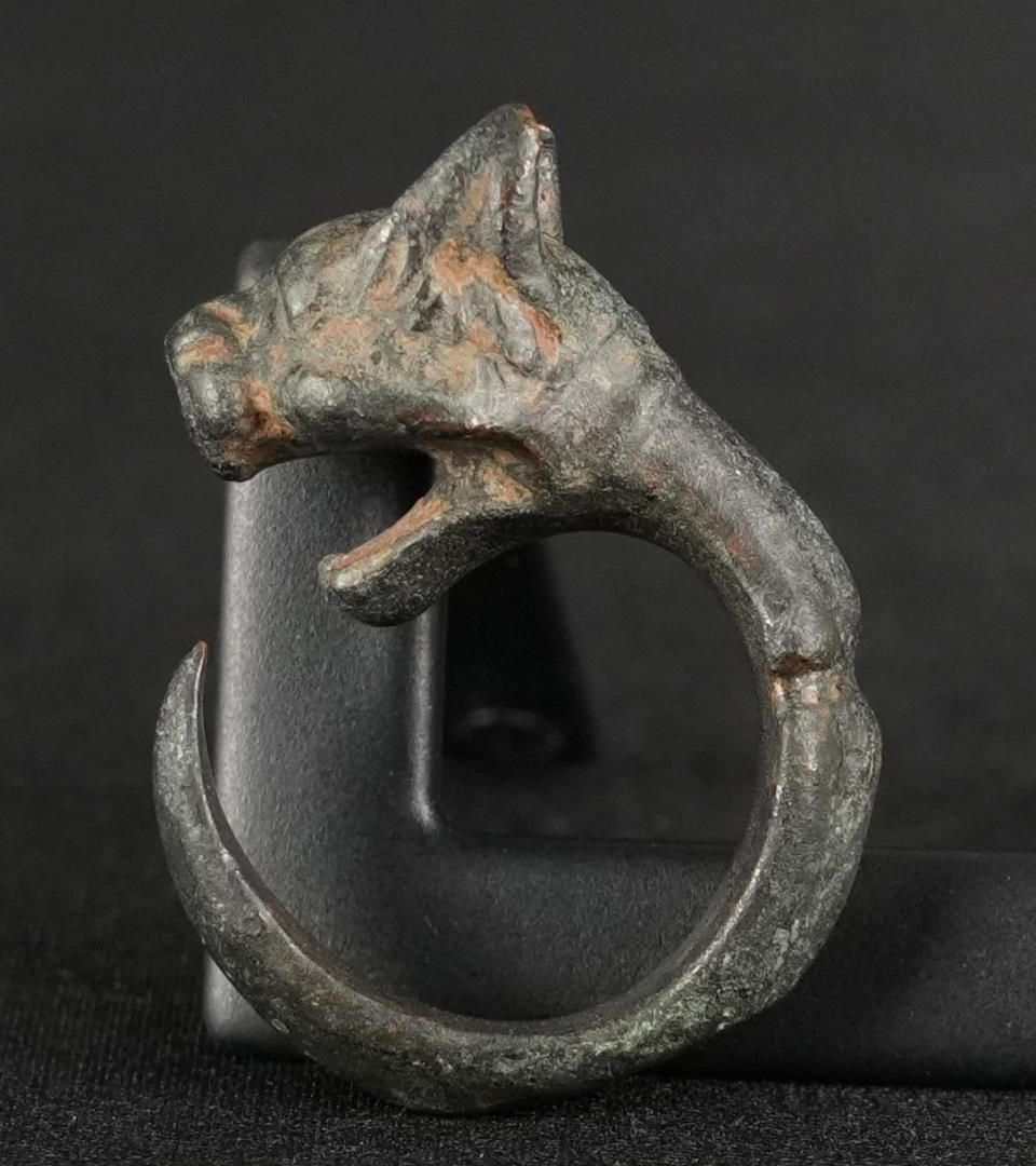 Ancient Egyptian Bronze Jackal Head Ring (1 of 7)