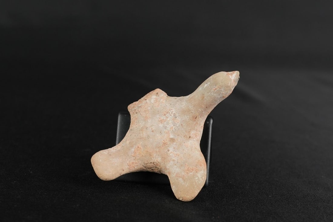 Ancient Greco Roman Terracotta Bird (1 of 6)