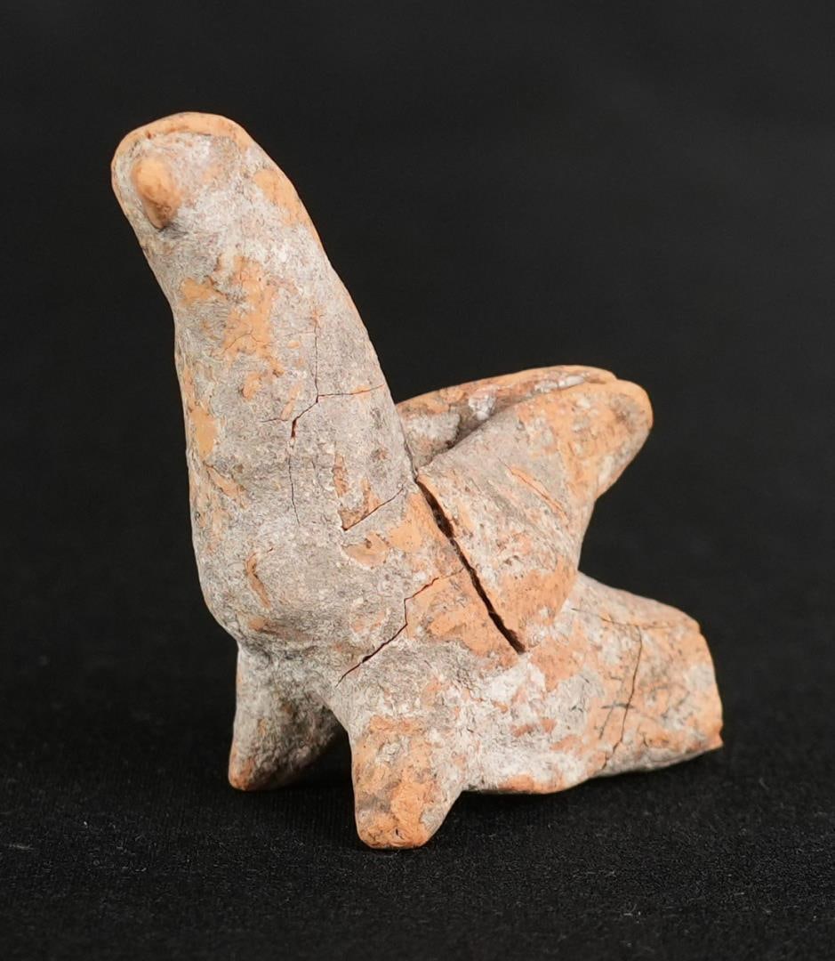 Ancient Greco Roman Terracotta Bird Statuette (1 of 6)