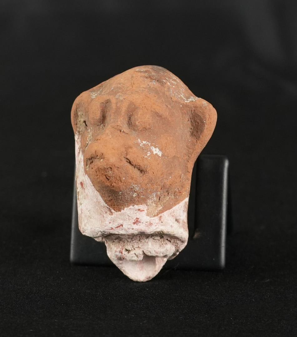 Ancient Egyptian Terracotta Baboon Head (1 of 6)
