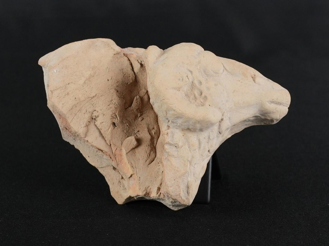 Ancient Greek Terracotta Ram Head (1 of 5)