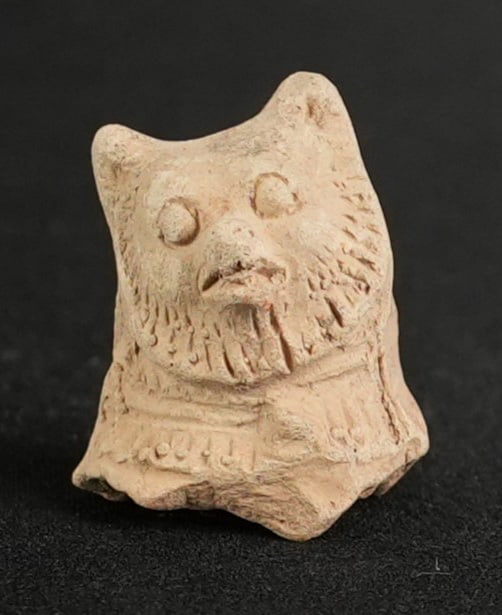 Ancient Egyptian Terracotta Sothic Dog Head (1 of 6)