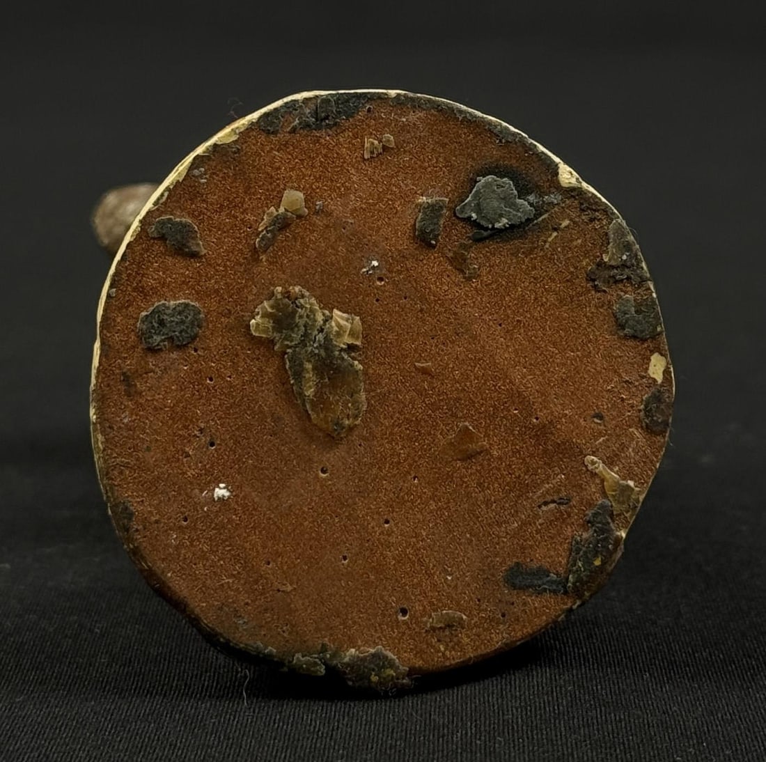 Ace Powell Standing Bear - 6