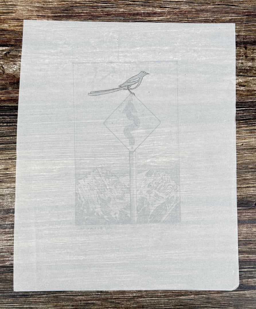 Monte Dolack Magpie Study - 2