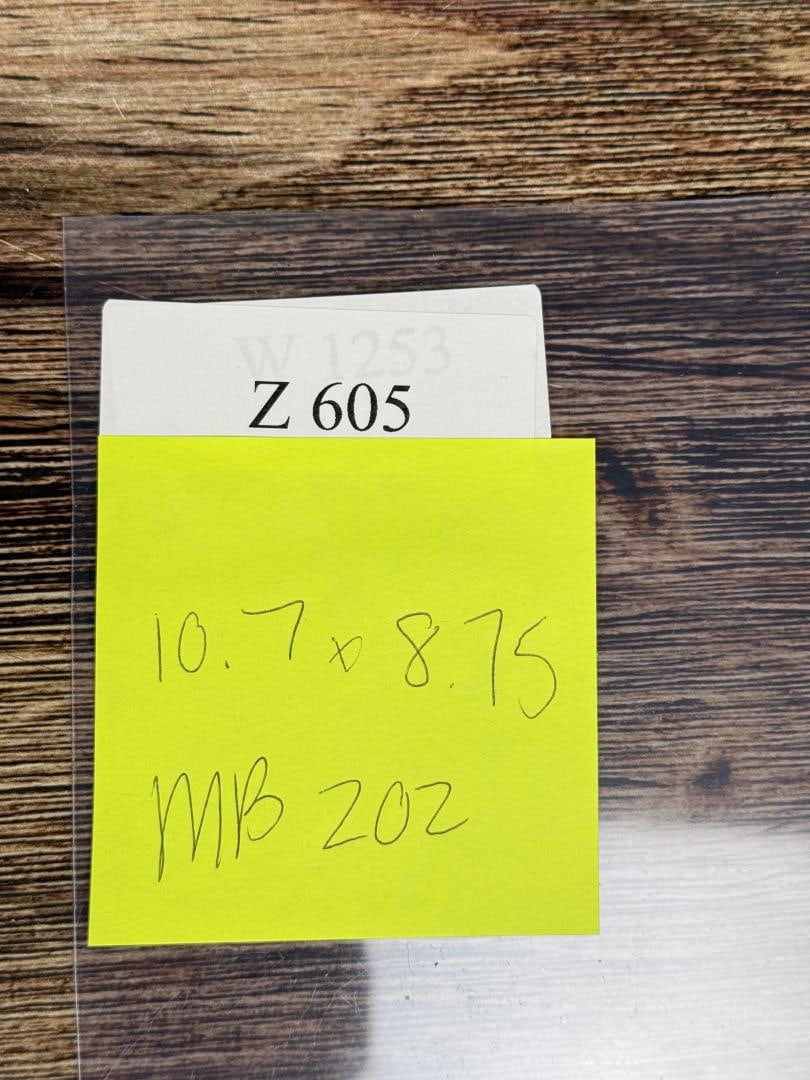 Monte Dolack Magpie Study - 3