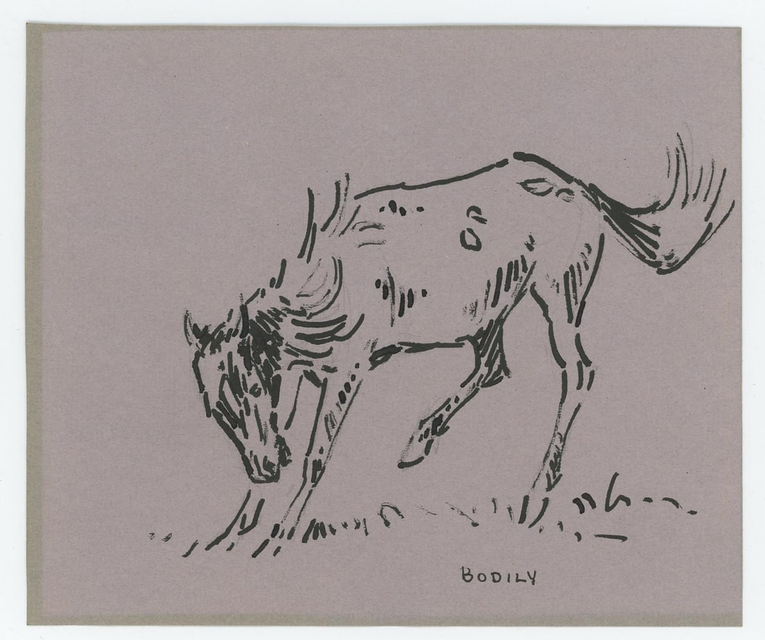 Sheryl Bodily Wild Mustang Drawing (1 of 3)