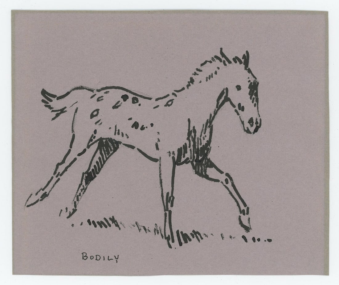 Sheryl Bodily Mustang Pony Drawing: Title is Mustang Pony. 6" by 7". Pen and Ink. Sheryl L. Bodily (Born 1936) is active/lives in Montana, Idaho. Sheryl Bodily is known for Western frontier scene painting, wildlife, horses. A western wi