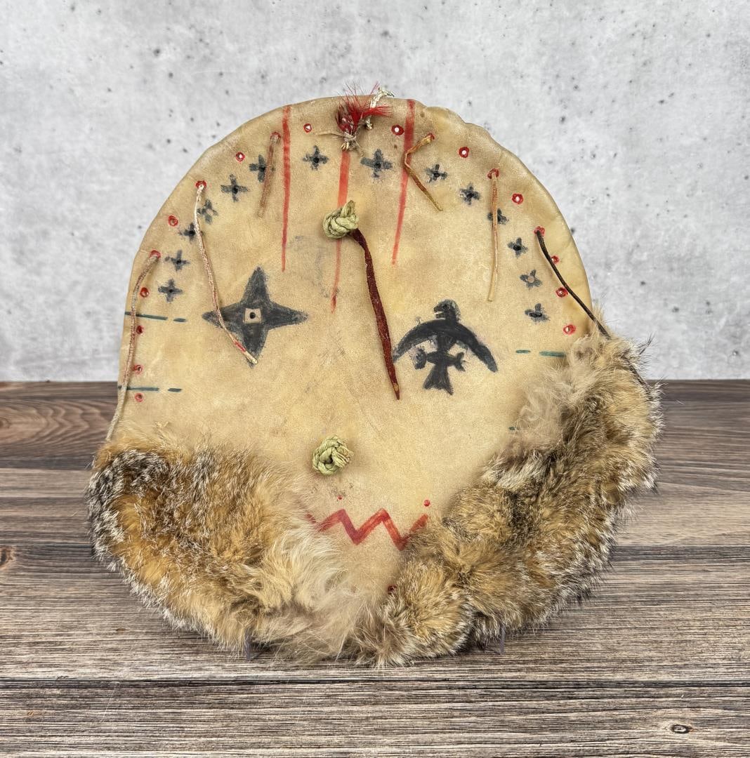 Sioux Native American Indian Medicine Shield (1 of 5)