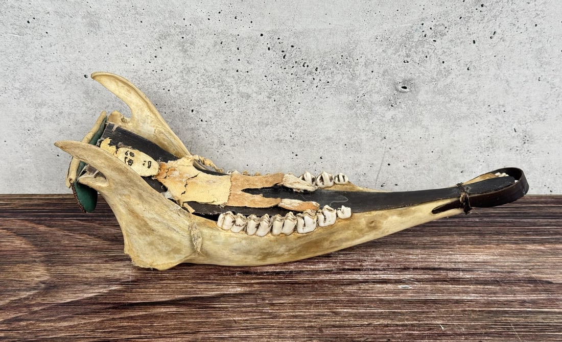 Inuit Eskimo Caribou Jaw Bone Dog Sled: Made in Barrow, Alaska, 1969. 12 3/4" by 4 5/8" by 4". Some deterioration as shown.
