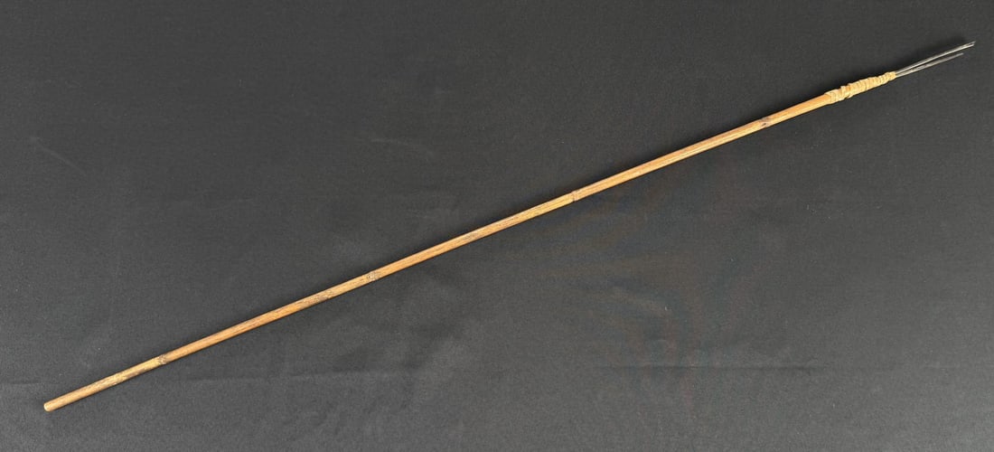 South Pacific Tribal Frog Fishing Spear (1 of 5)