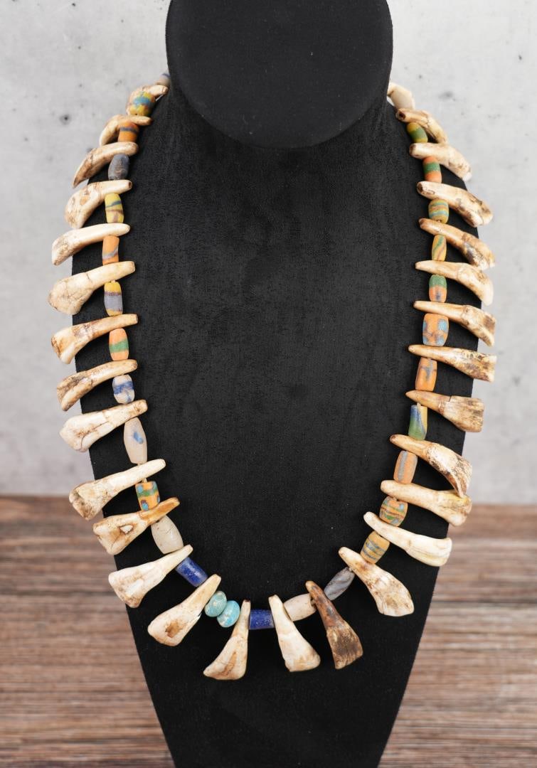 Plains Indian Buffalo Tooth Necklace (1 of 7)
