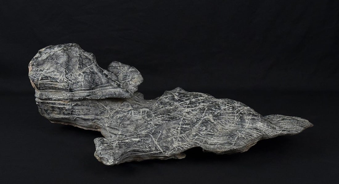 Chinese Suiseki Scholar Viewing Stone (1 of 7)