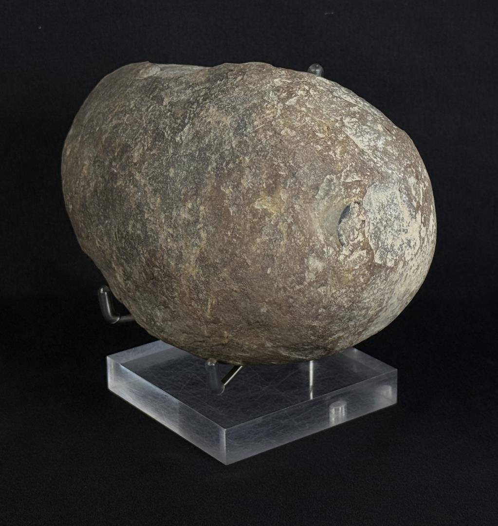 Unopened Fossil Nodule - 2