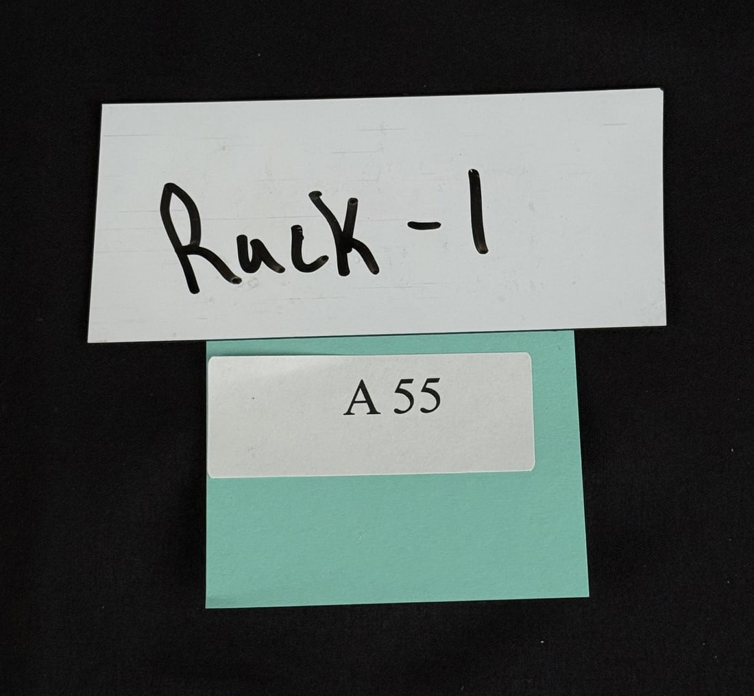 Unopened Fossil Nodule - 4