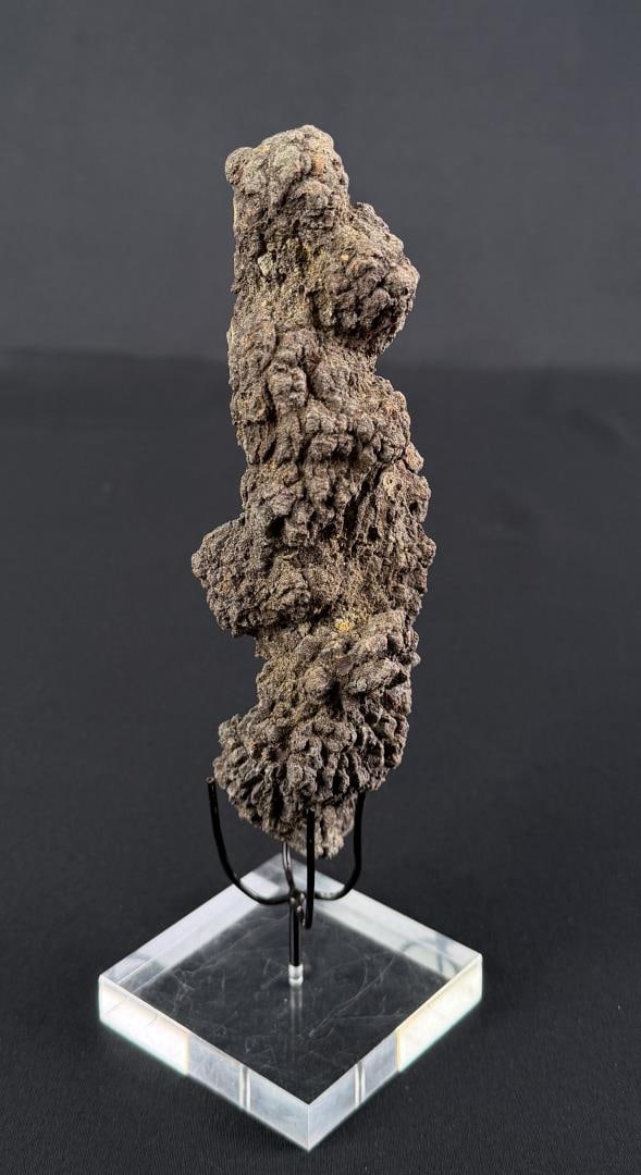 Coprolite Fossilized Dinosaur Poop (1 of 3)