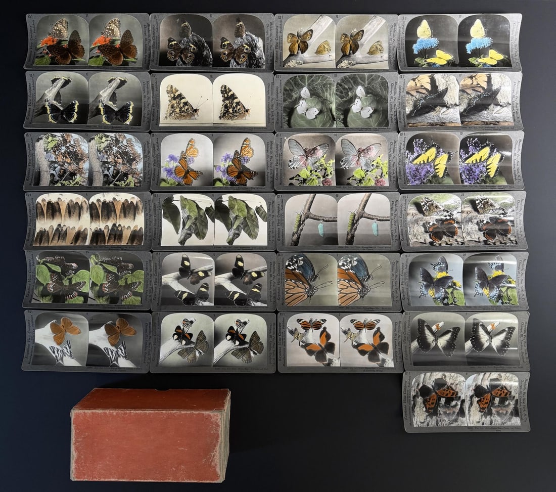 Collection of Keystone Butterfly Stereoview Set: 25 total.