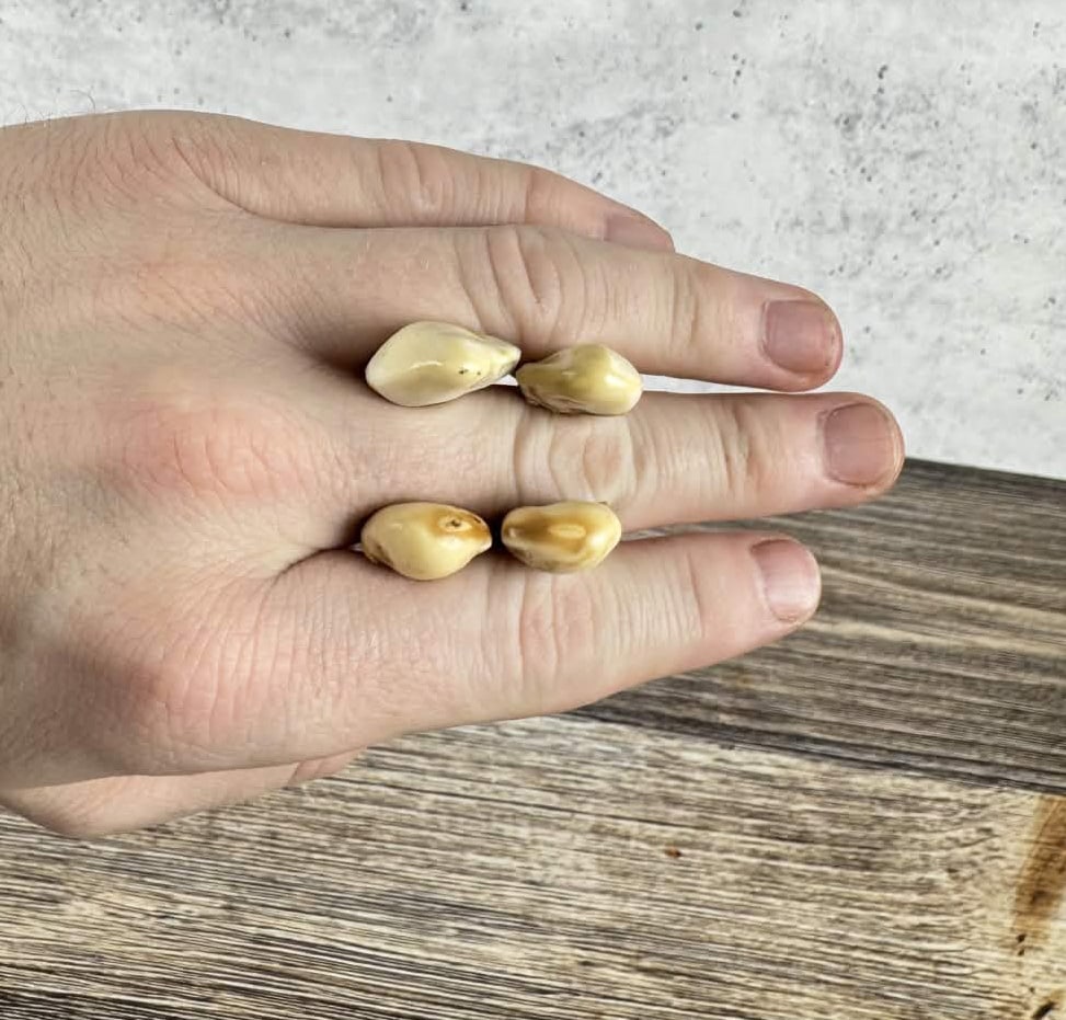 Montana Bull Elk Teeth: Two sets.