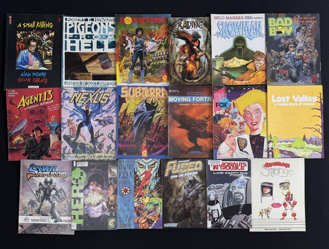 Collection of Comic Books and Graphic Novels (1 of 12)